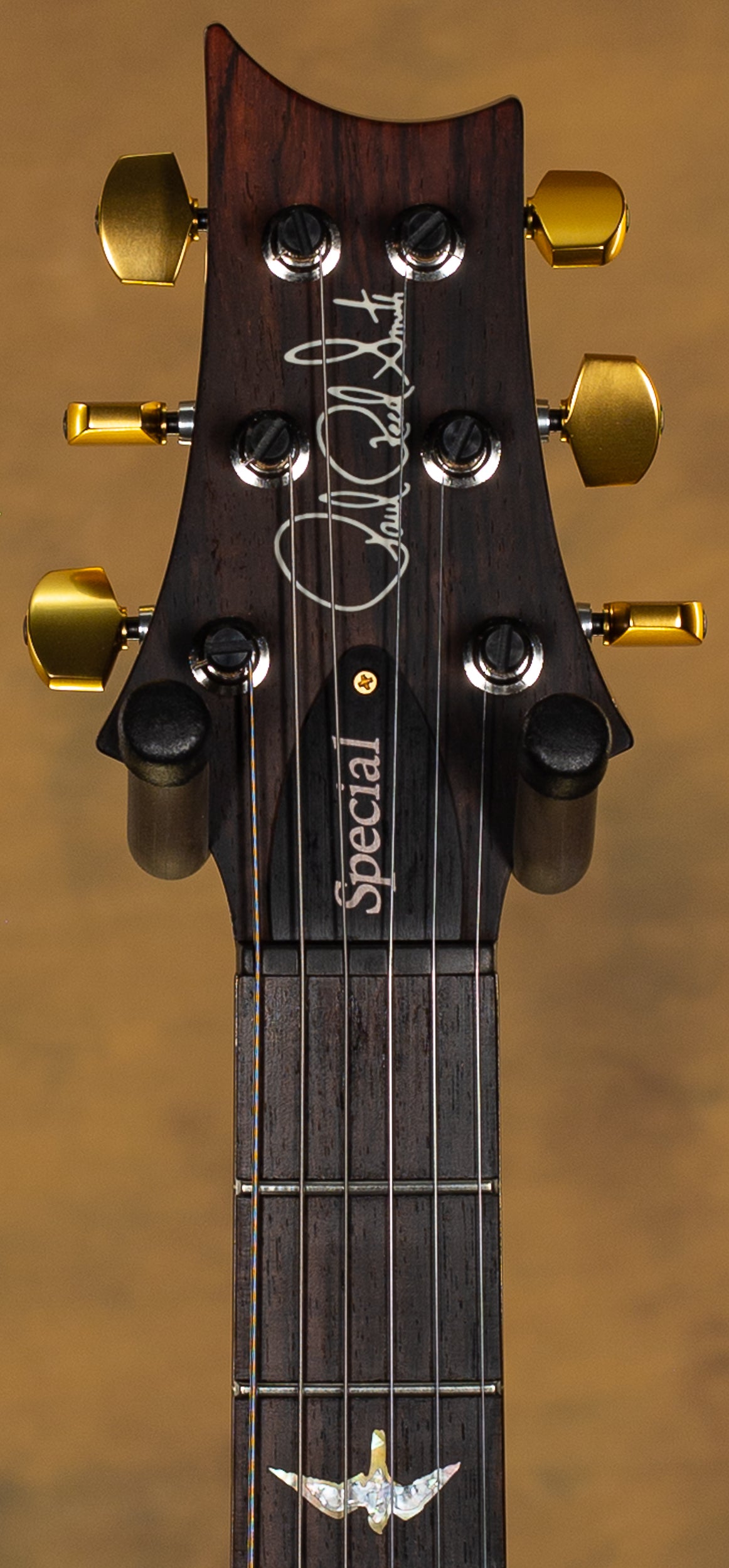 2023 PRS Wood Library Special Semi Hollow 10 Top Brazilian