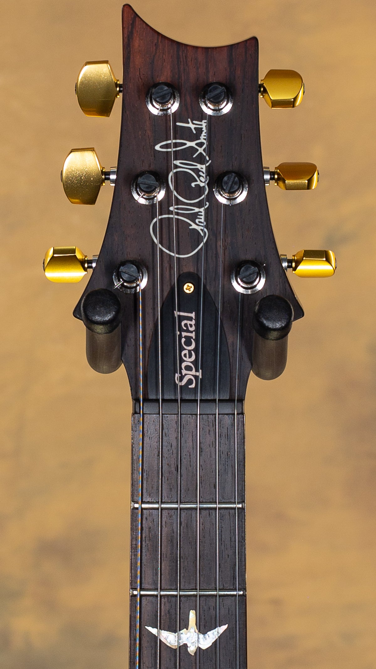 2023 PRS Wood Library Special Semi-Hollow Angry Larry 10 Top Brazilian