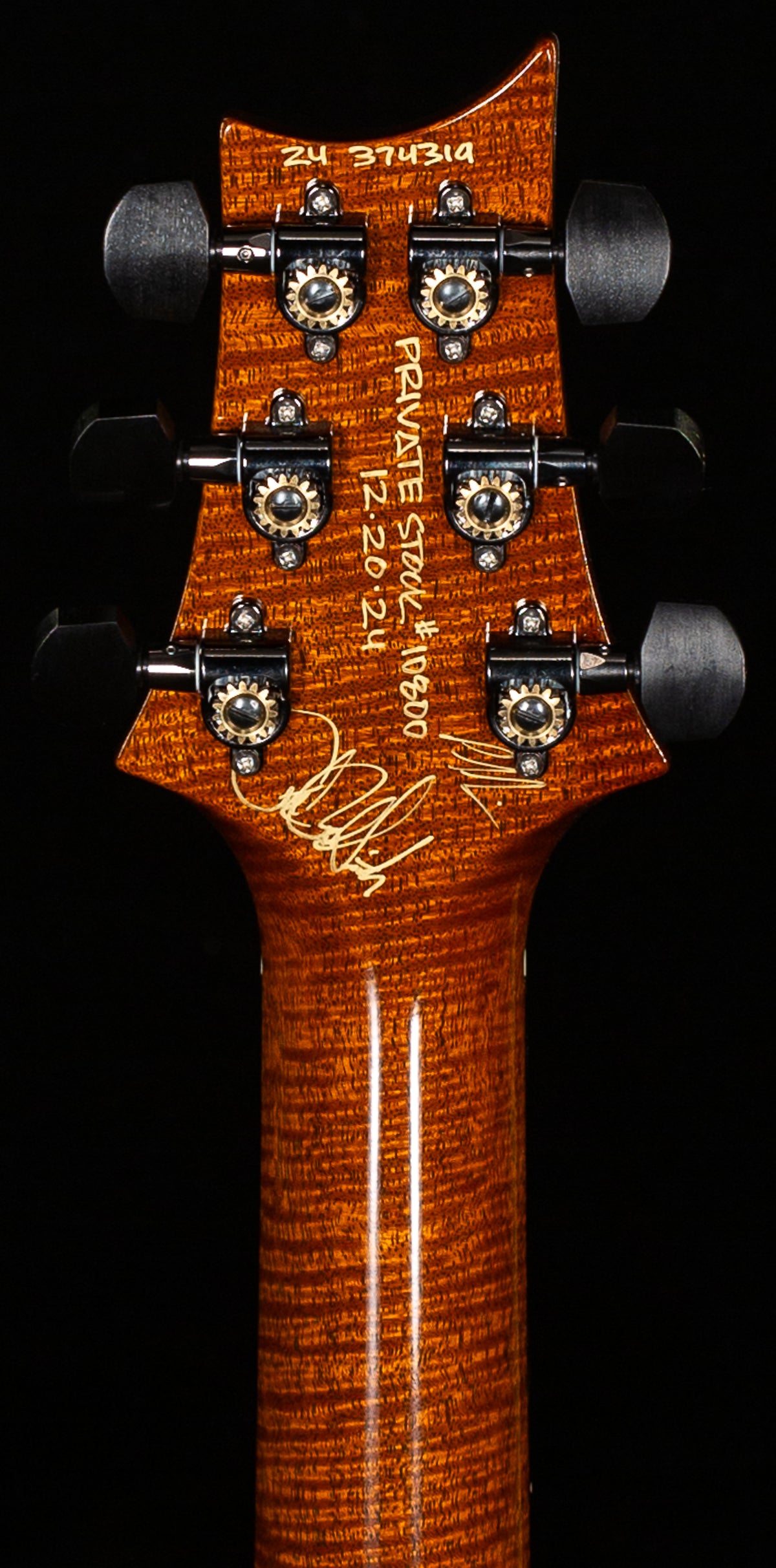 PRS Private Stock 10800 Hollowbody II Piezo Birds of a Feather Aqua Violet Glow (319)