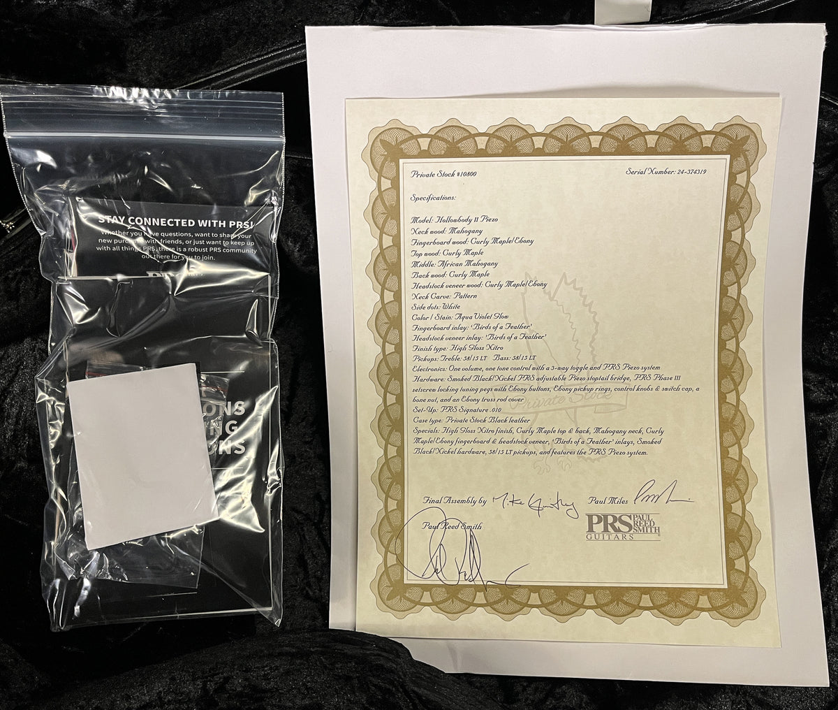 PRS Private Stock 10800 Hollowbody II Piezo Birds of a Feather Aqua Violet Glow (319)