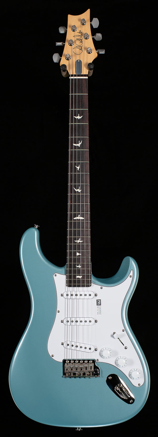 John Mayer Silver Sky - Polar Blue w/Rosewood – Dave's