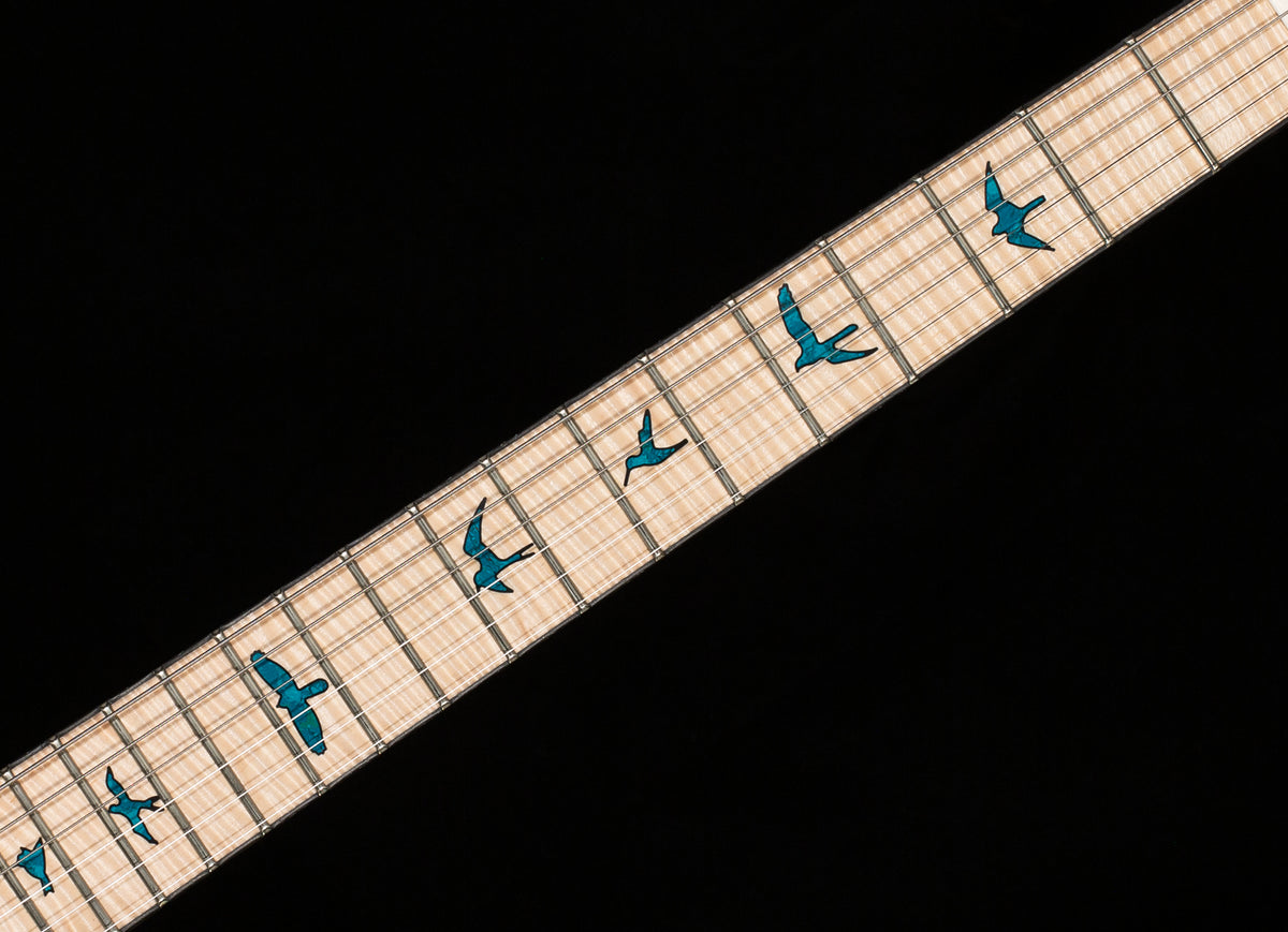 PRS Private Stock 10799 DGT Sub Zero Glow (148)