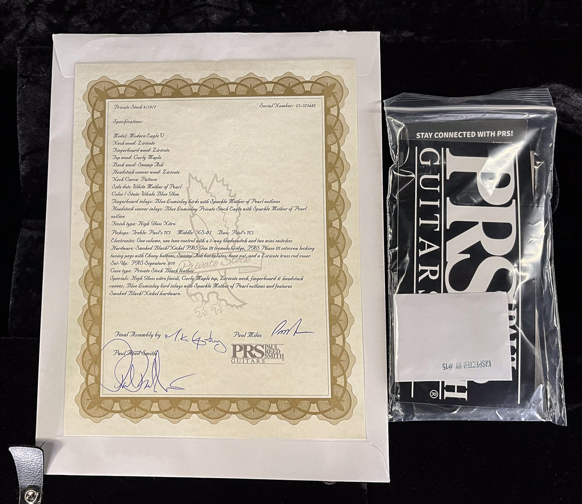 PRS Private Stock 11017 Modern Eagle V Whale Blue Glow (682)