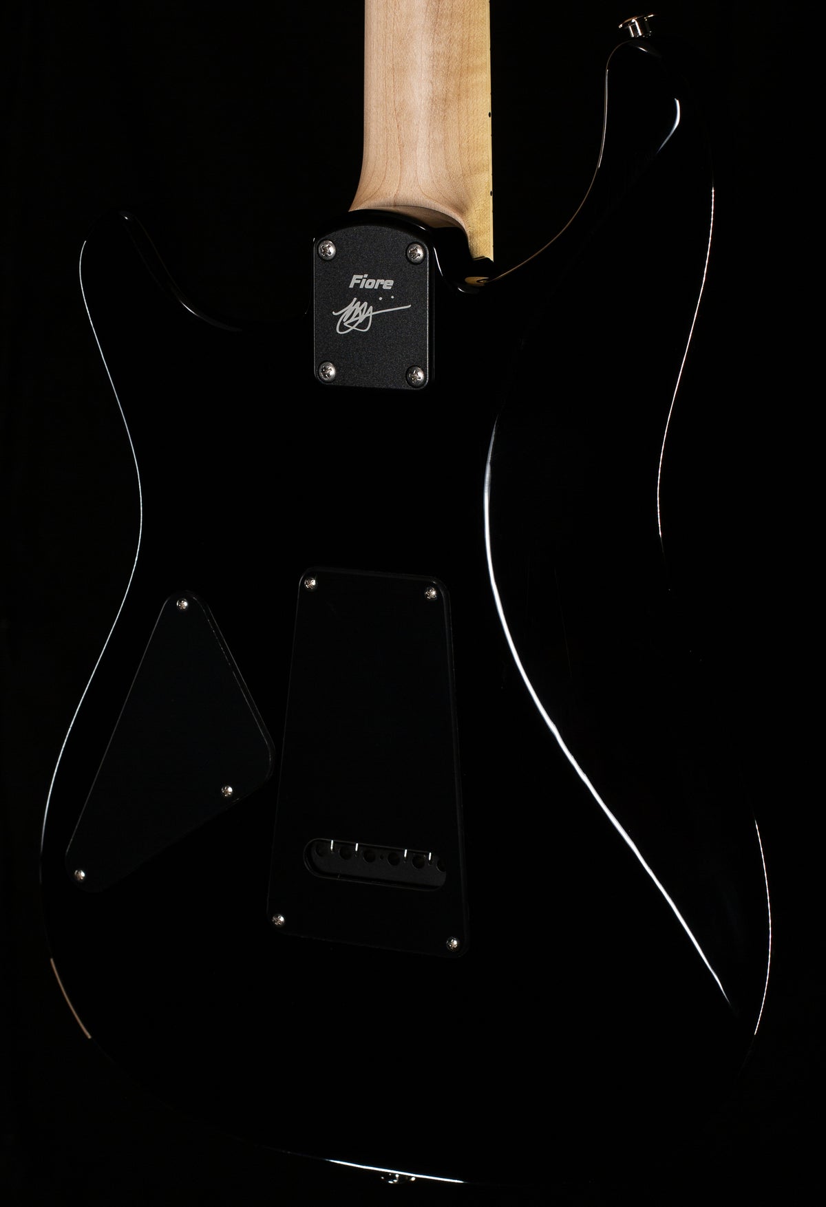 PRS Fiore Black Iris (670)