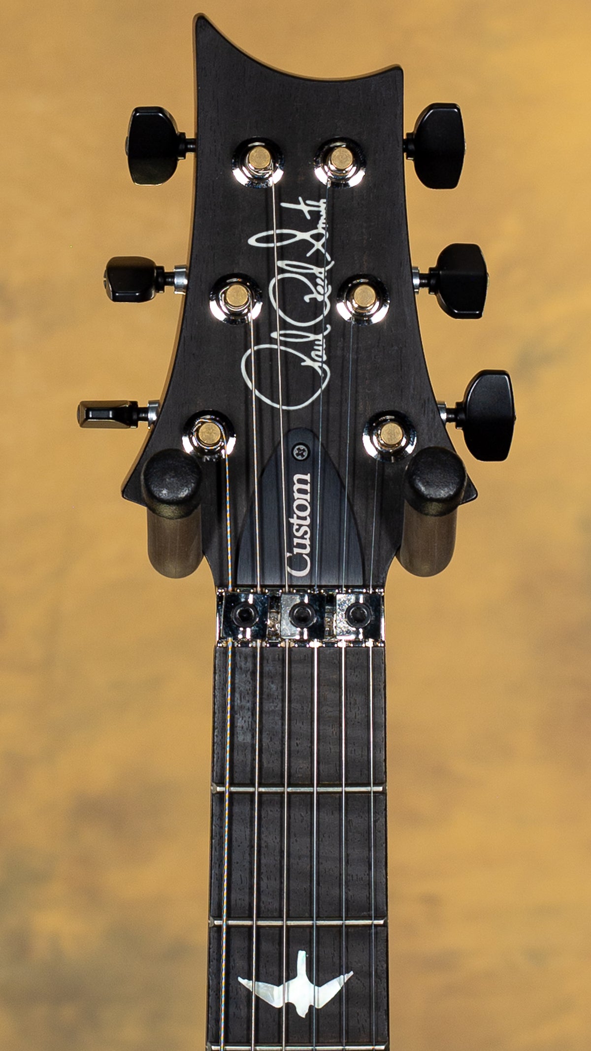 DEMO PRS Wood Library Custom 24 Floyd Grey Black Fade 10 Top Torrefied Maple Neck (526)