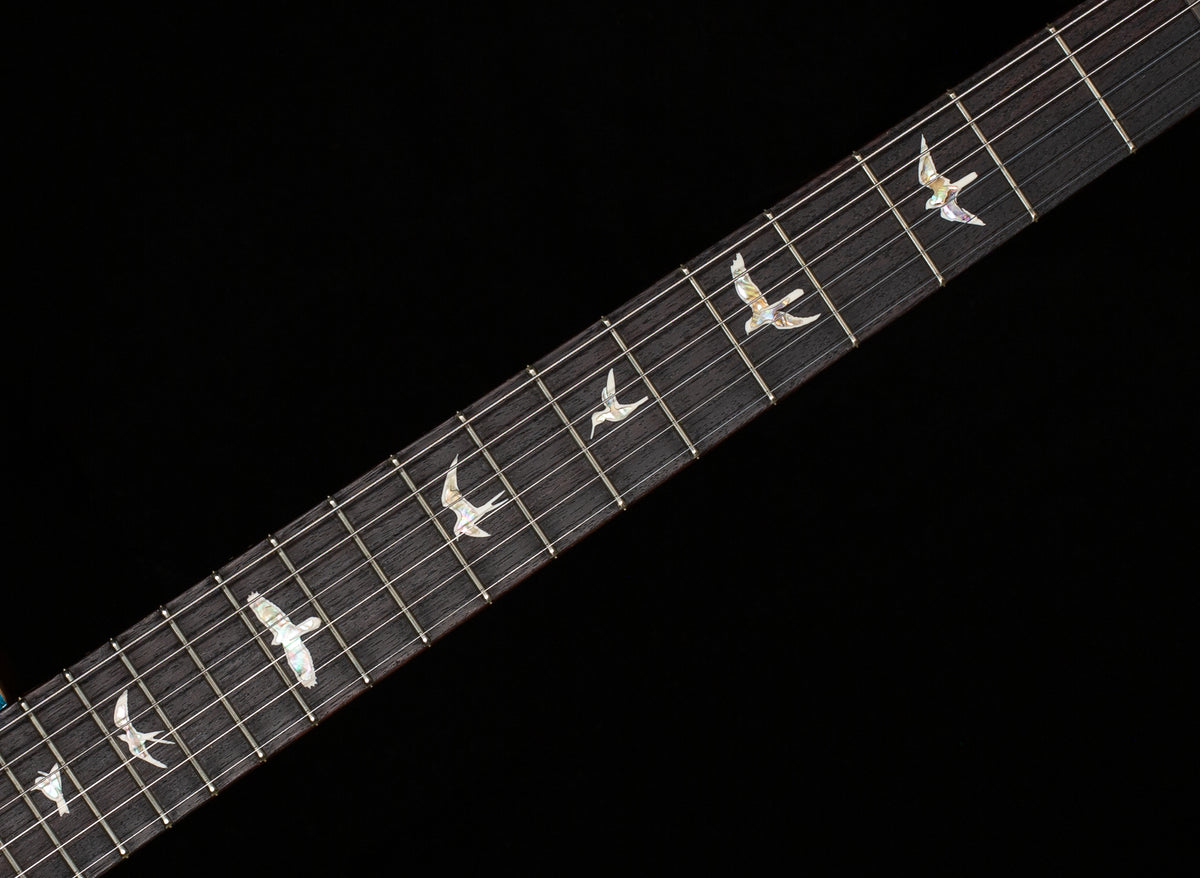 PRS Tremonti Signature 10 top Carroll Blue (104)