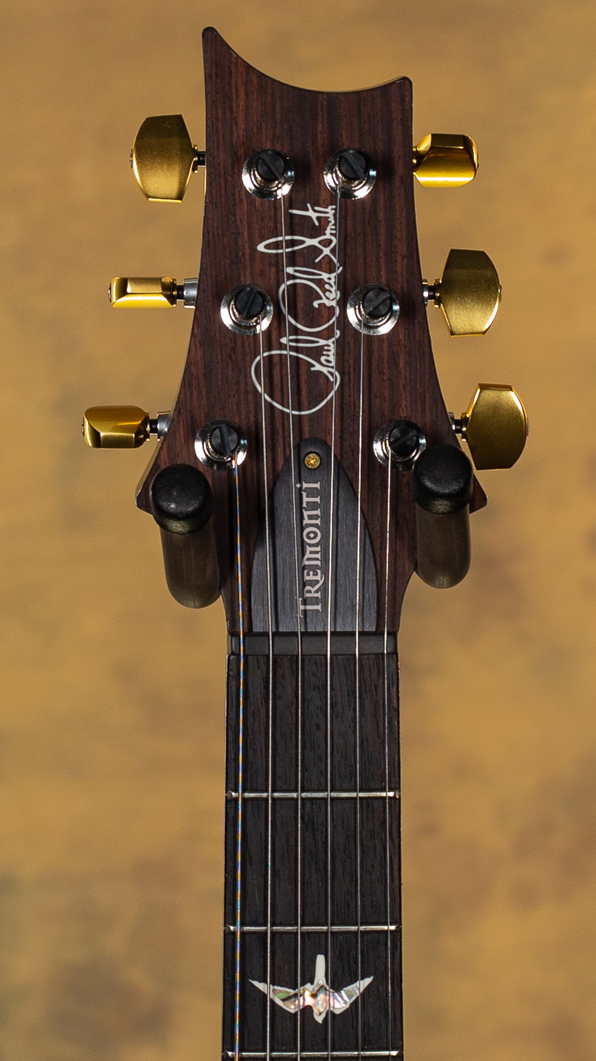 2024 PRS Mark Tremonti Signature Tremolo 10 Top Charcoal Contour Burst