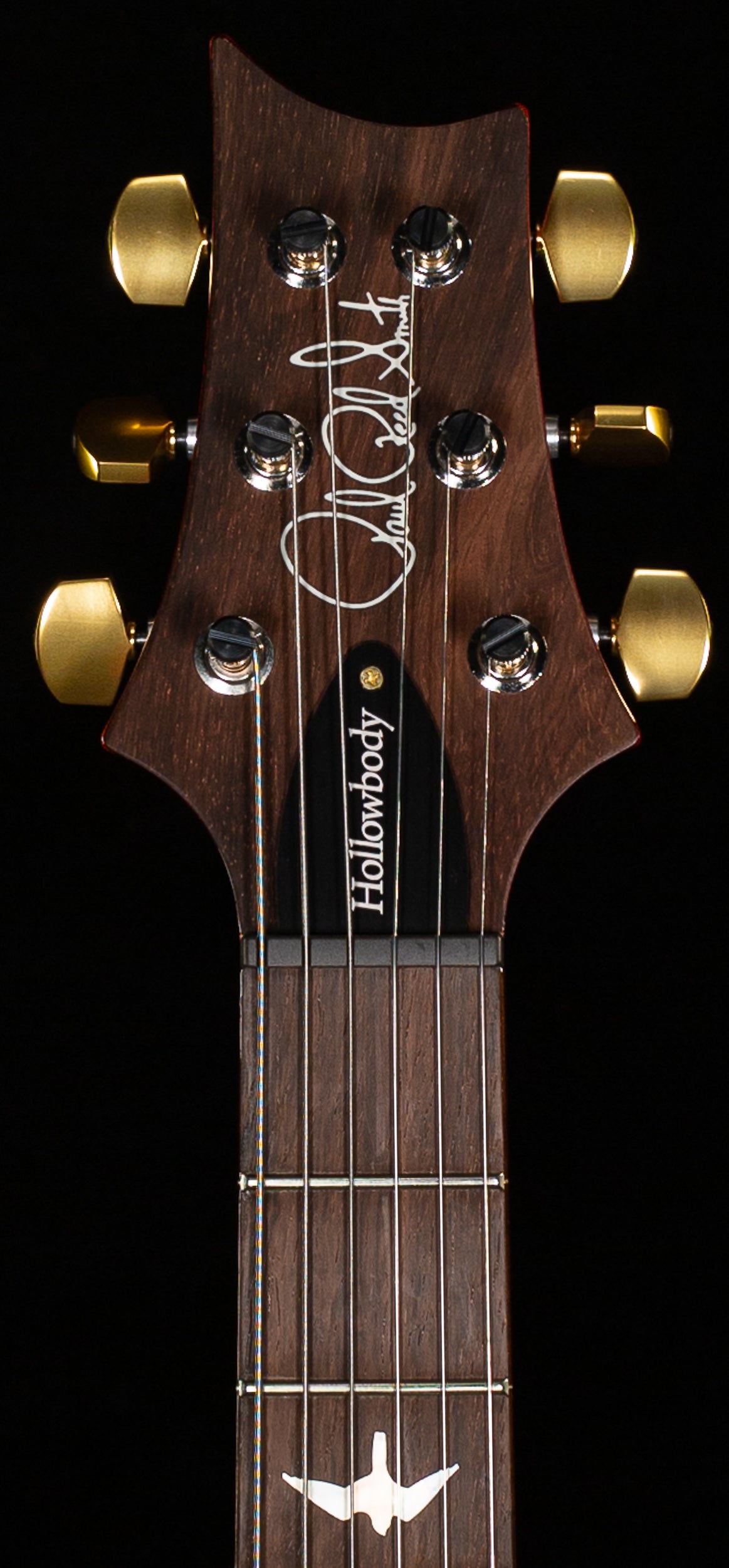 PRS Wood Library Hollowbody II Piezo Burnt Maple Leaf 10 Top (609)