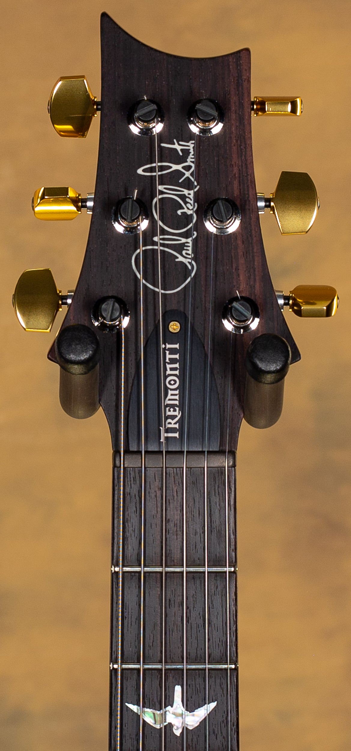 2024 PRS Wood Library Tremonti Grey Black Fade 10 Top Torrefied Flamed Maple Neck