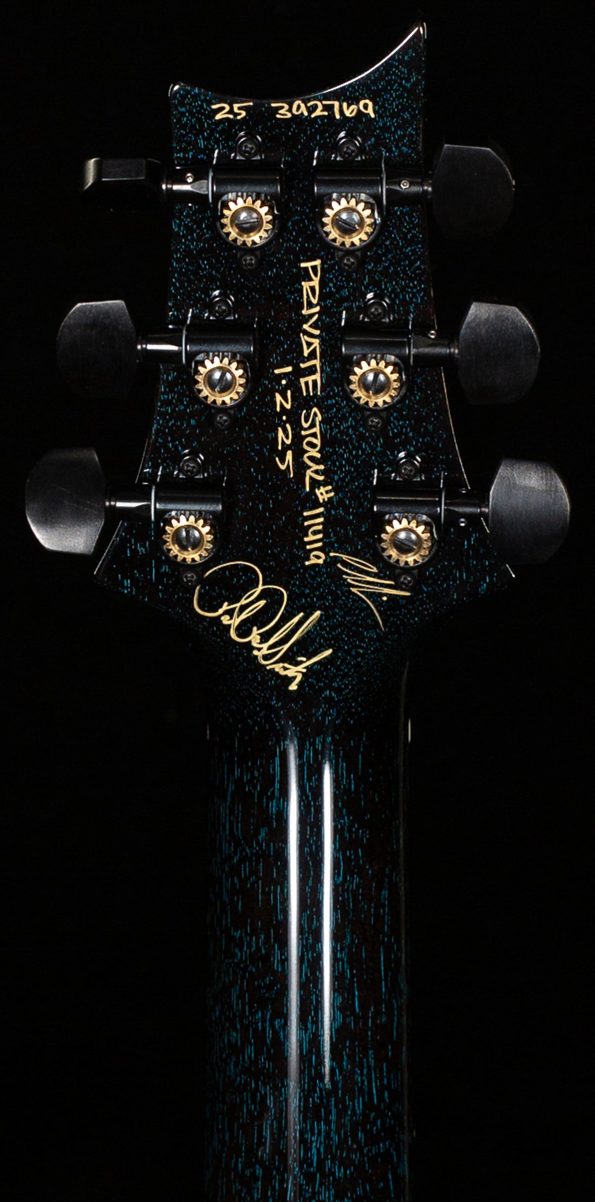 PRS Private Stock 11419 Hollowbody II Piezo Sub Zero (769)