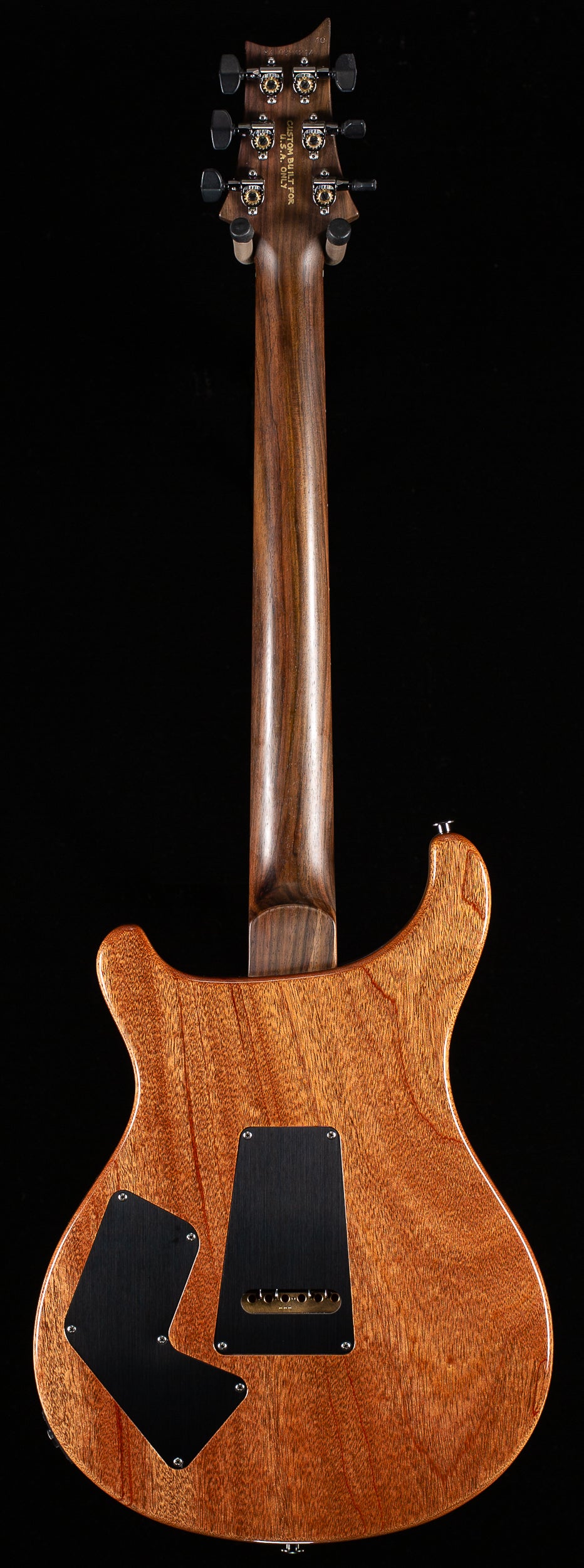PRS Willcutt Exclusive Wood Library Modern Eagle V Aquableux Quilted M -  Willcutt Guitars