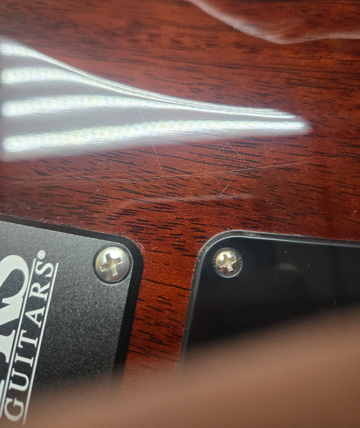 2024 PRS CE 24 Willcutt Exclusive Run Tortoise Shell