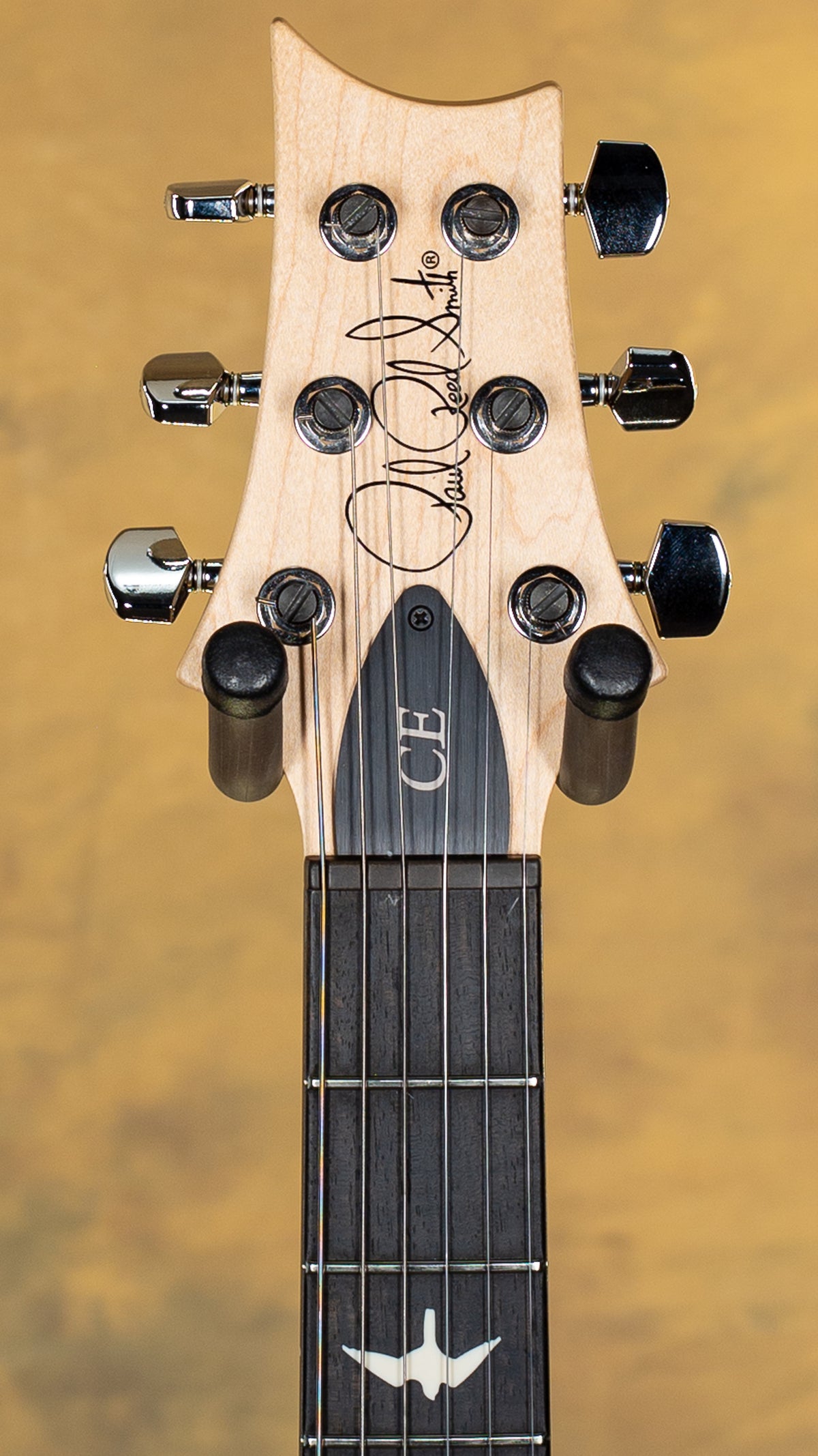 2024 PRS CE 24 Willcutt Exclusive Run Tortoise Shell
