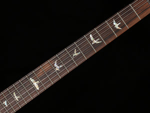 PRS Wood Library Willcutt Exclusive Special Semi-Hollow Brazilian Quilt 10 Top (522)