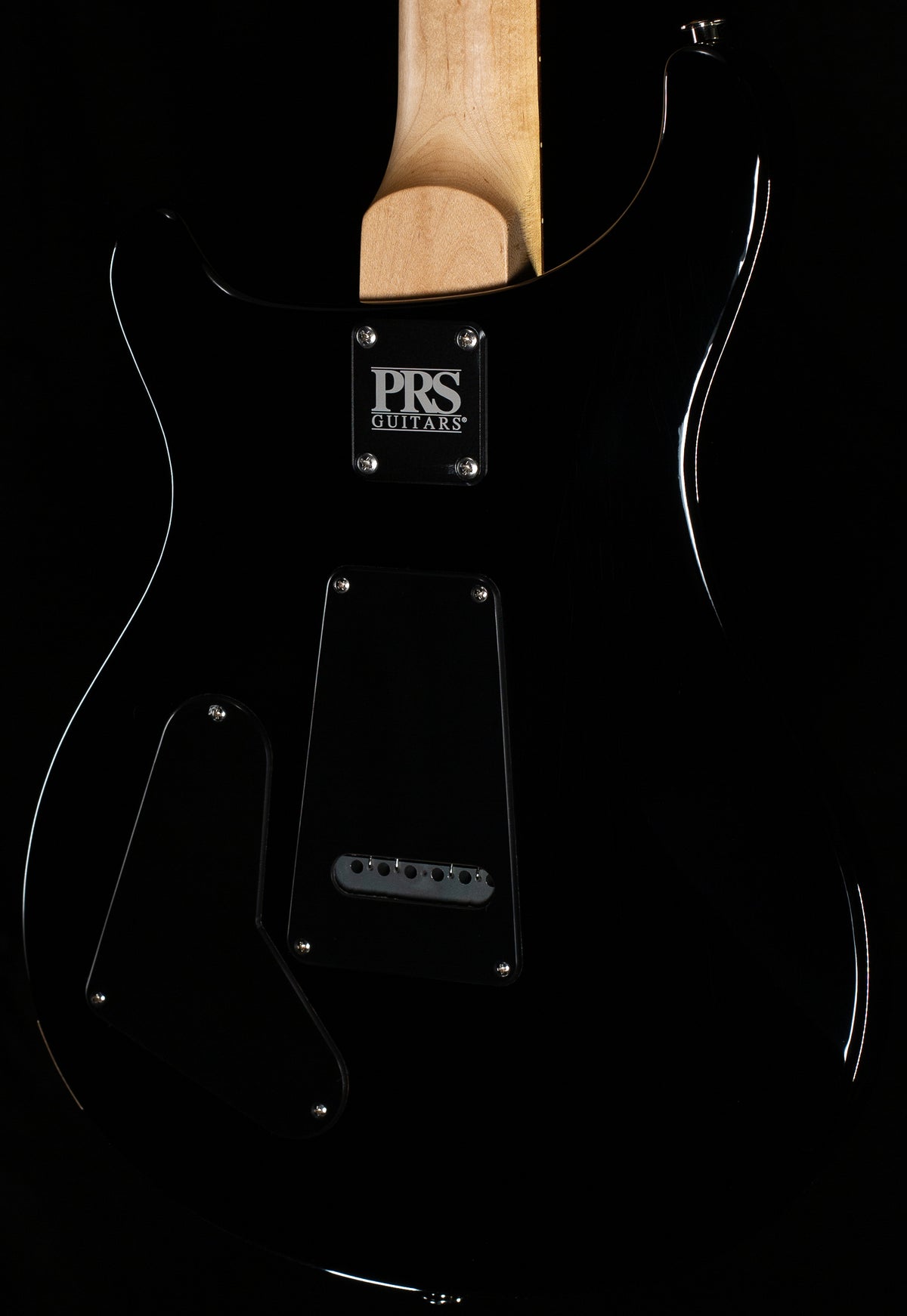 PRS Swamp Ash Special Black Doghair Smokeburst (118)