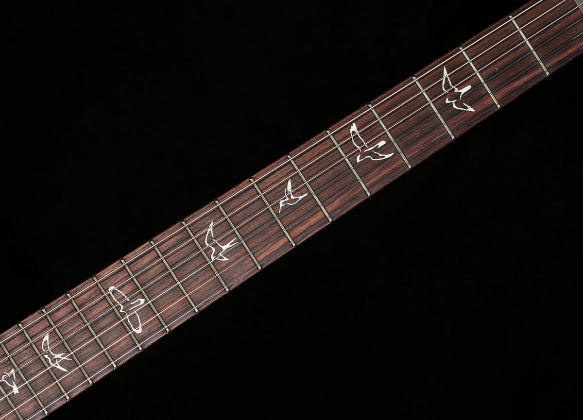 PRS Swamp Ash Special Black Doghair Smokeburst (118)