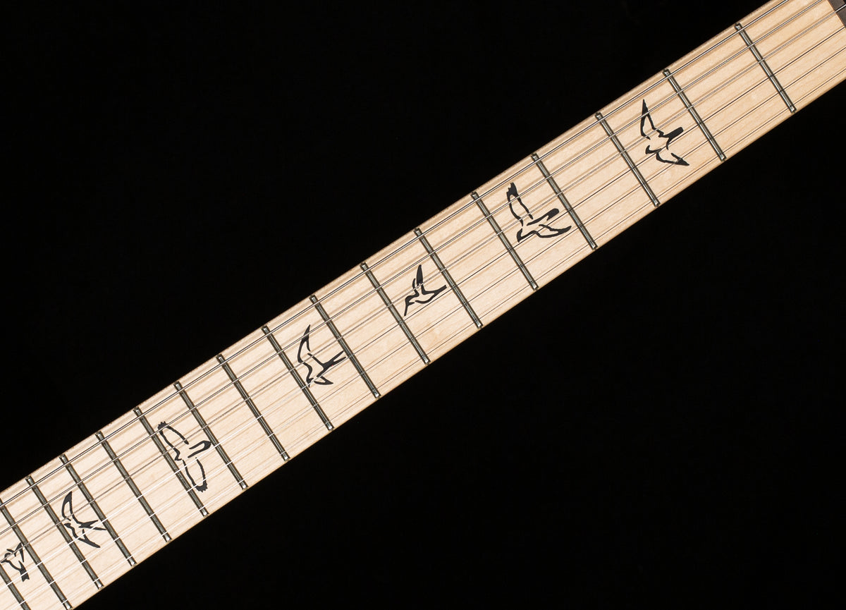 PRS Swamp Ash Special White Doghair Smokeburst (875)