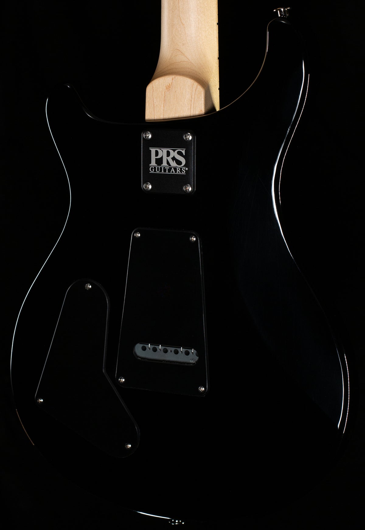 PRS Swamp Ash Special Black Doghair Smokeburst (574)