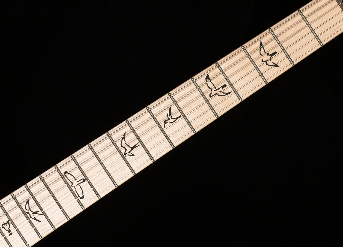 PRS Swamp Ash Special Black Doghair Smokeburst (574)