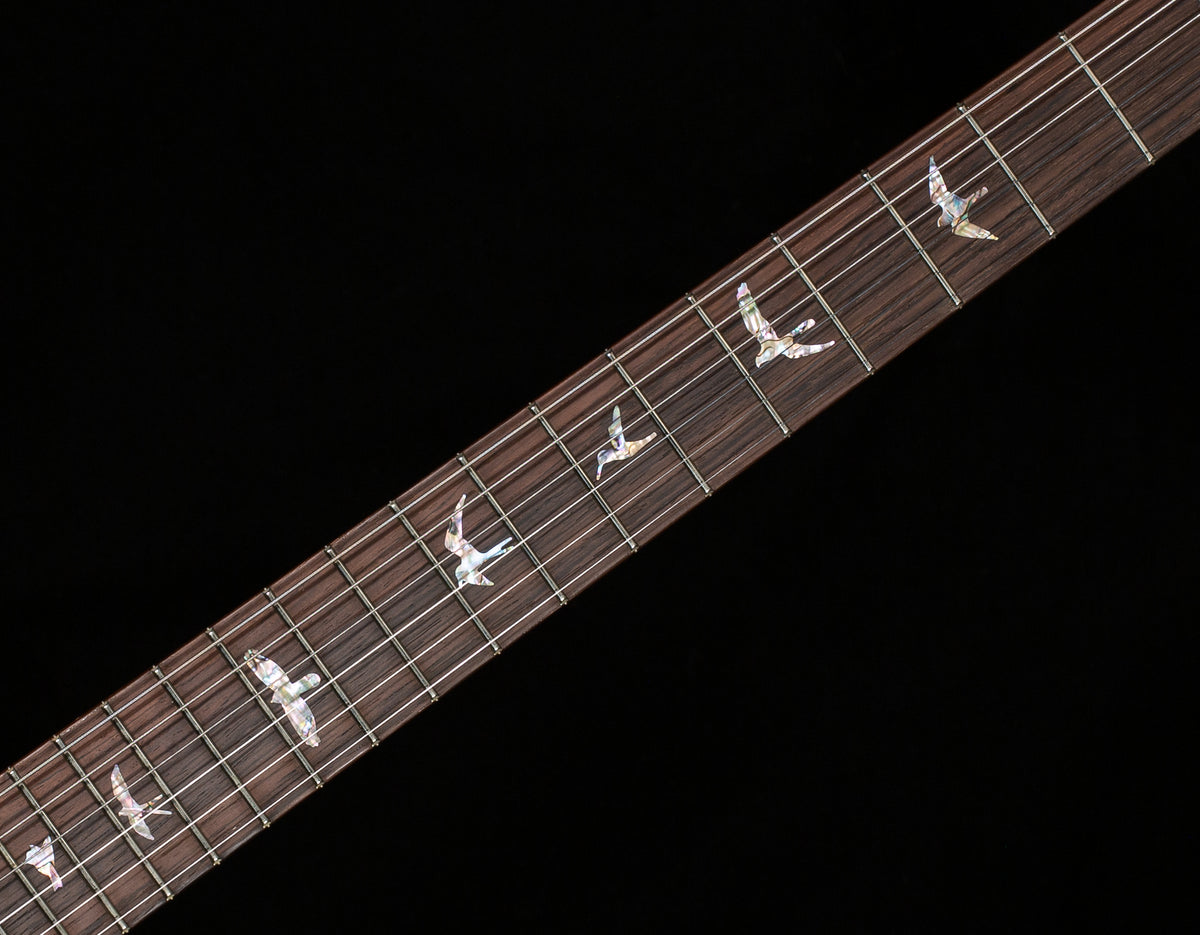 PRS Wood Library Willcutt Exclusive Special Semi-Hollow Trampas Green Fade 10 Top (926)