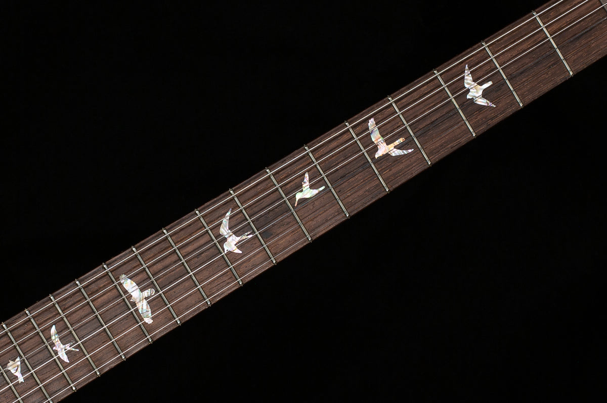 PRS Wood Library Willcutt Exclusive Special Semi-Hollow Trampas Green Fade 10 Top (928)