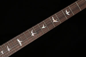 PRS Wood Library Willcutt Exclusive Special Semi-Hollow Trampas Green Fade 10 Top (928)
