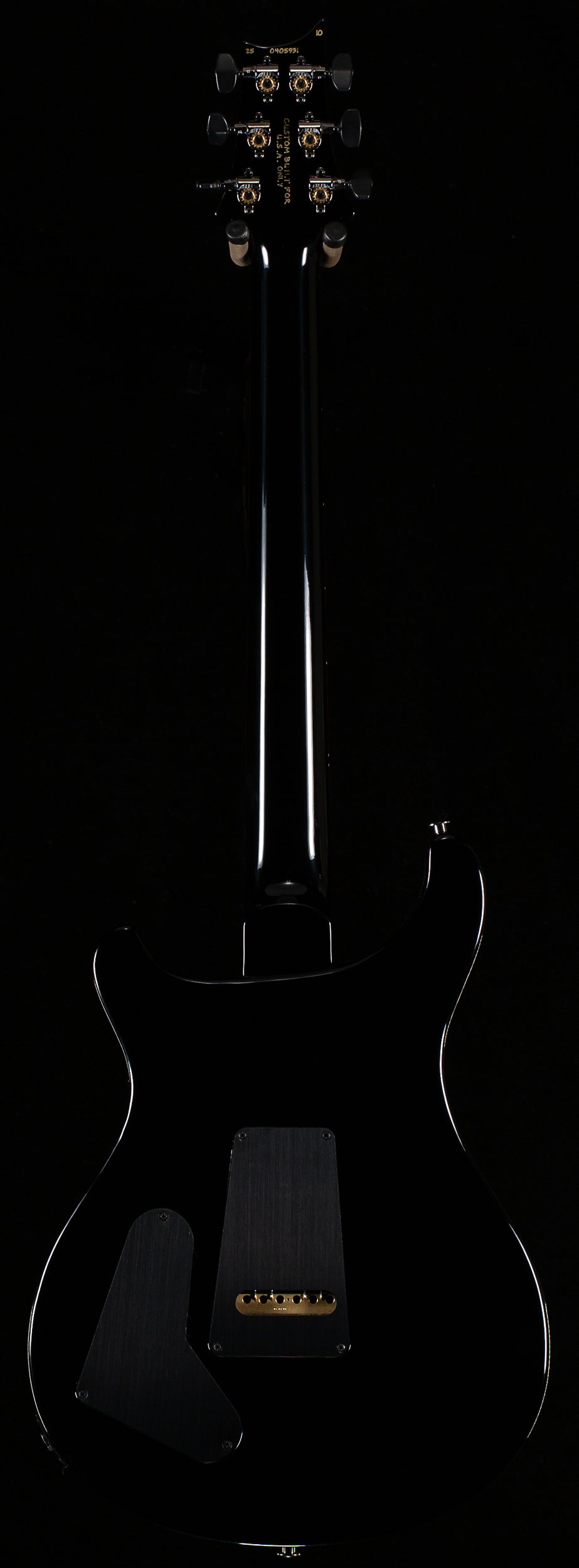 PRS Wood Library Willcutt Exclusive Special Semi-Hollow 10 Top Purple Mist (931)