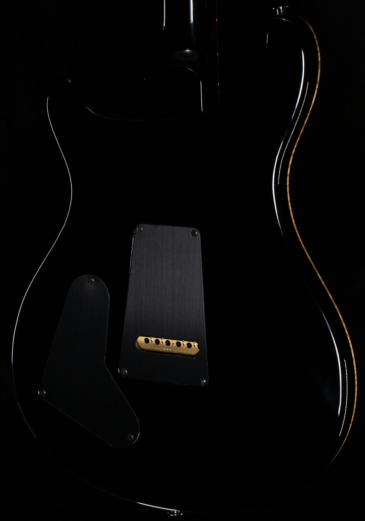 PRS Wood Library Willcutt Exclusive Special Semi-Hollow 10 Top Purple Mist (931)