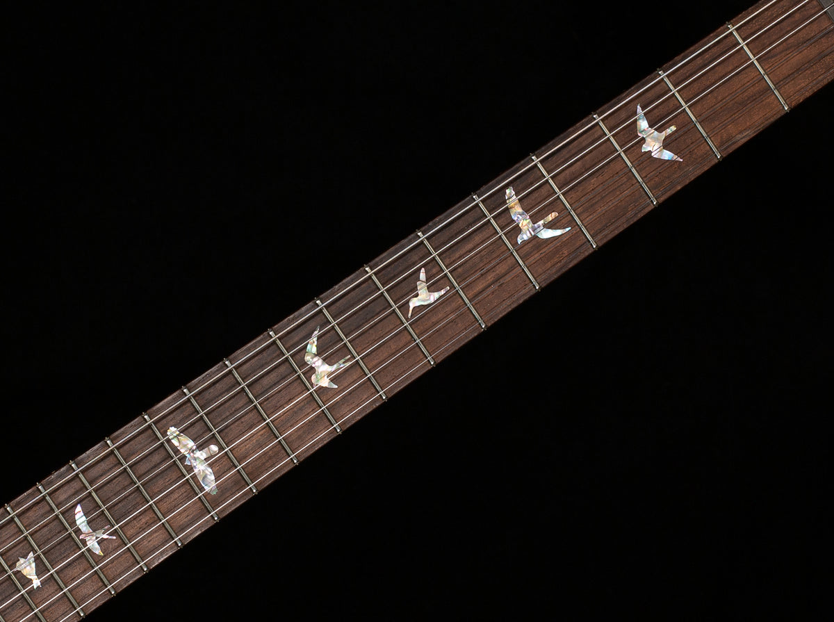 PRS Wood Library Willcutt Exclusive Special Semi-Hollow 10 Top Purple Mist (931)