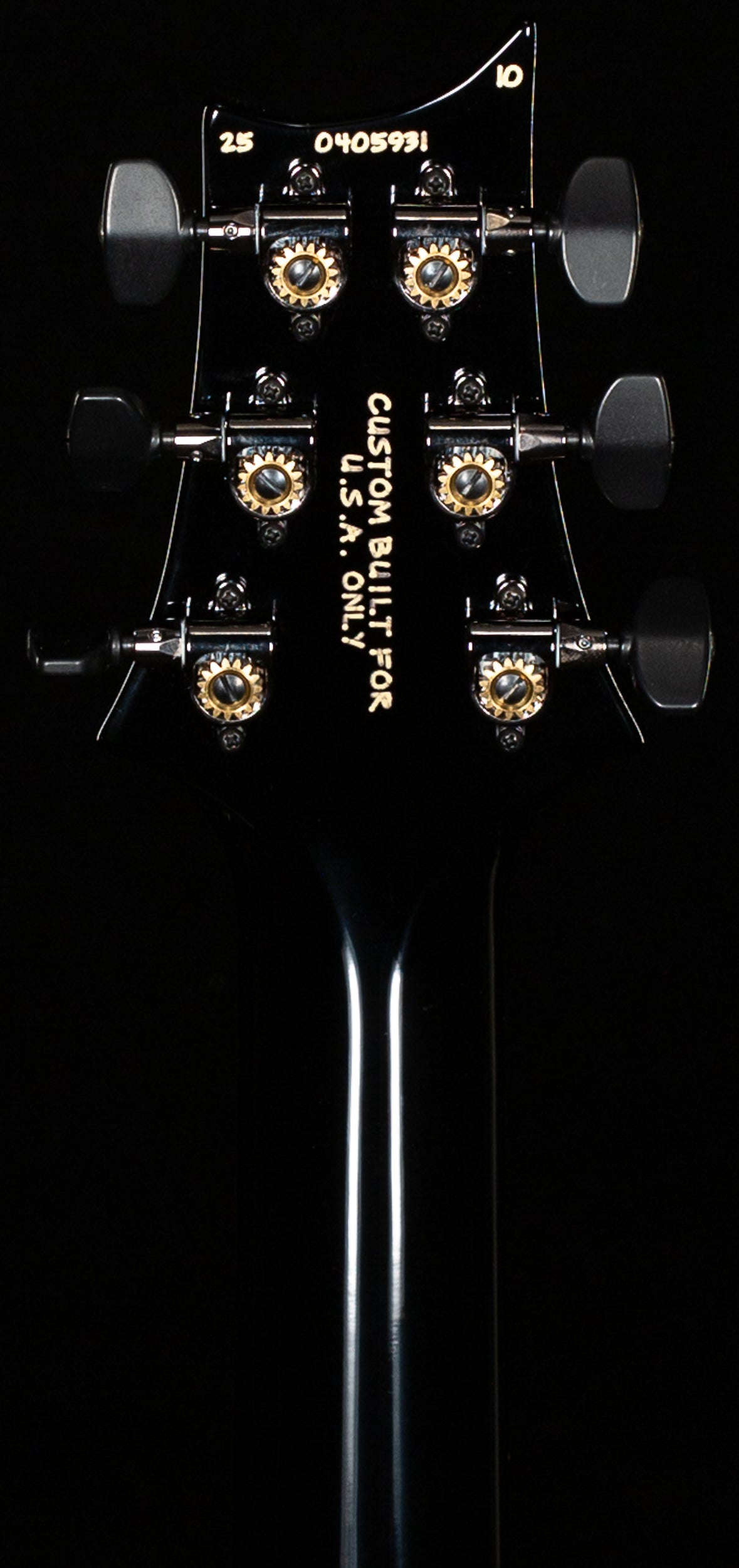 PRS Wood Library Willcutt Exclusive Special Semi-Hollow 10 Top Purple Mist (931)