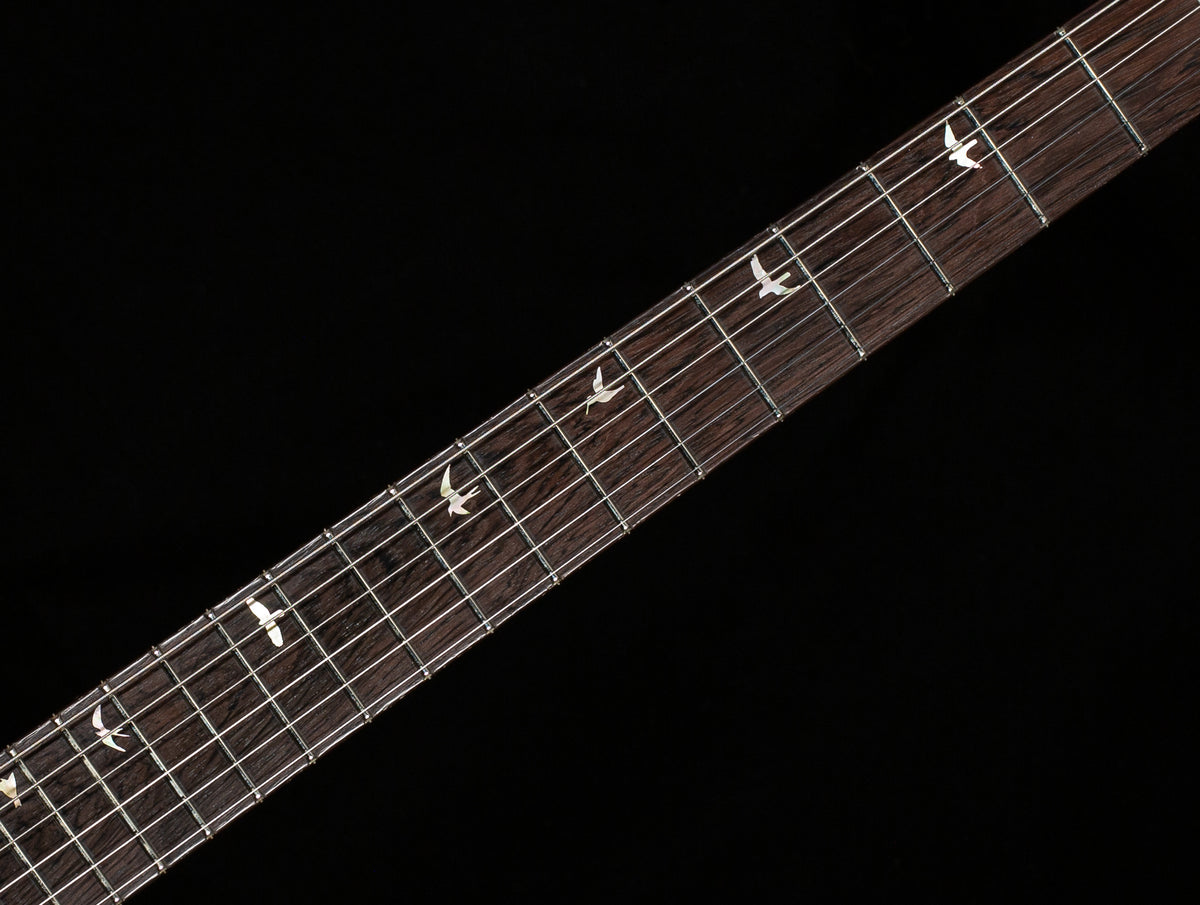 PRS Private Stock 11728 DGT Desert Sands Smokeburst (463)