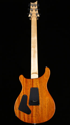 PRS Custom 24 Floyd Aurora Borealis 10 Top (364)