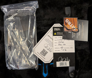 PRS Custom 24 Floyd Aurora Borealis 10 Top (364)