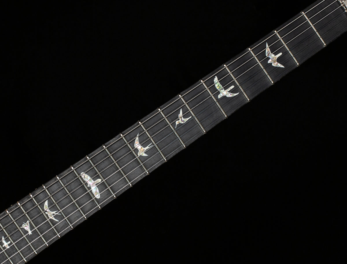 PRS Custom 24 Floyd Aurora Borealis 10 Top (364)