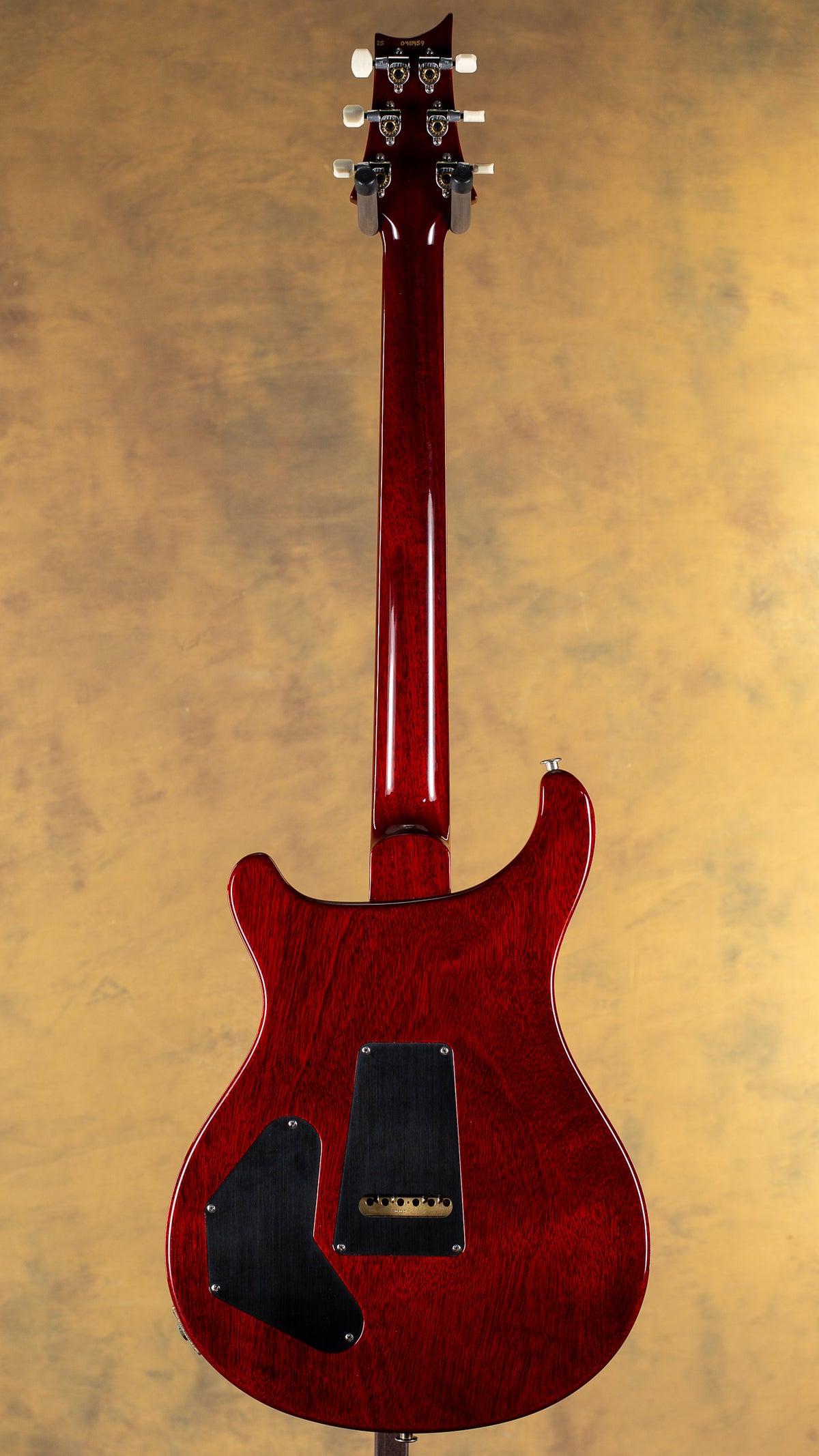 2025 PRS DGT Custom Color Tobacco Burst Moons