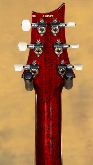 2025 PRS DGT Custom Color Tobacco Burst Moons