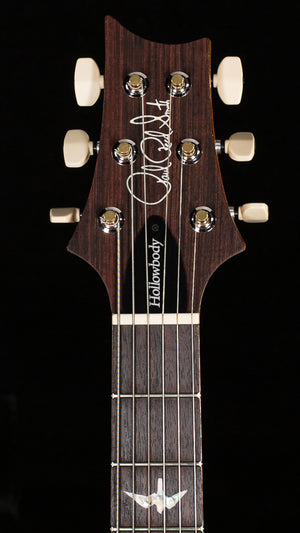 PRS Hollowbody II Piezo Custom Color (021)