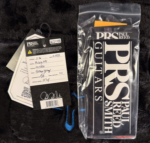 PRS McCarty 594 Aurora Borealis 10 Top (839)