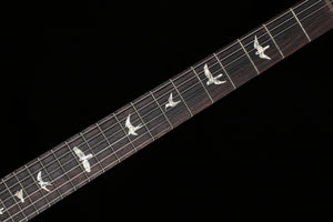 PRS Custom 24 10 Top Sprayer's Choice Tiger Eye/Copper Iridescent Back (238)