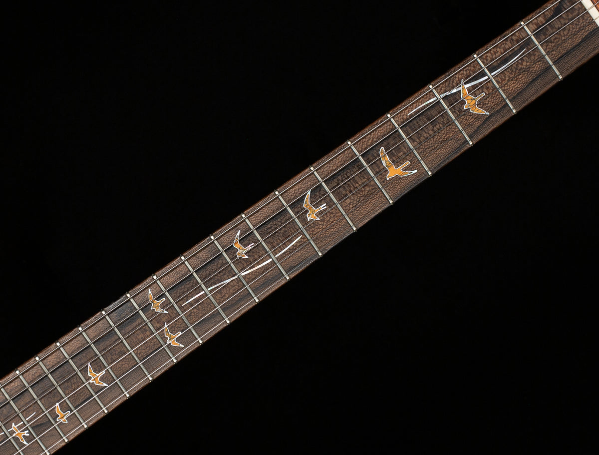 PRS Private Stock 11091 Special Semi-Hollow Piezo Natural Smokeburst (411)