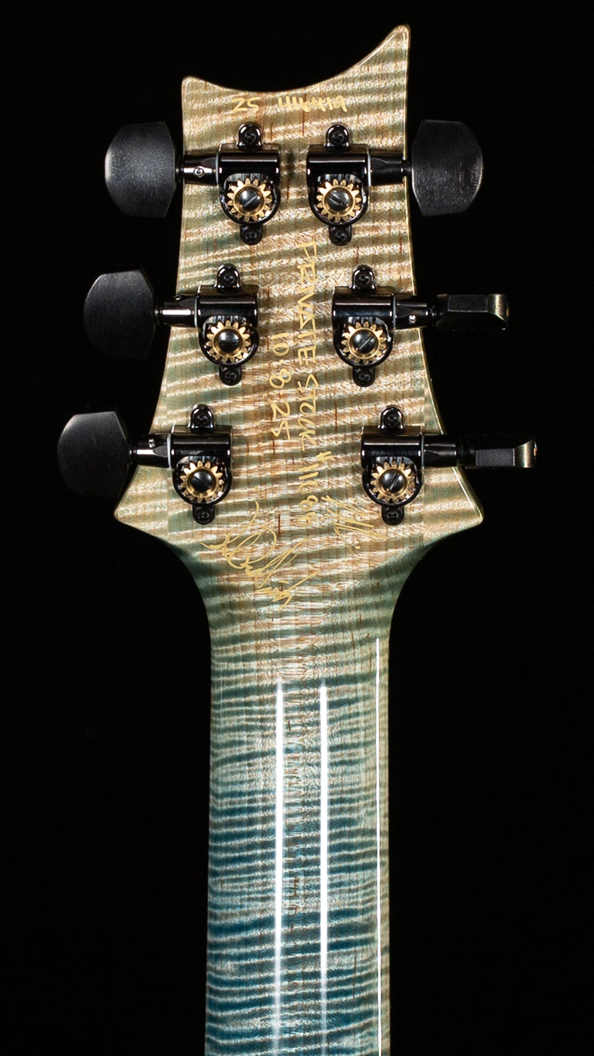 PRS Private Stock 11088 Custom 24-08 Birds of Flight Whale Blue Fade (419)