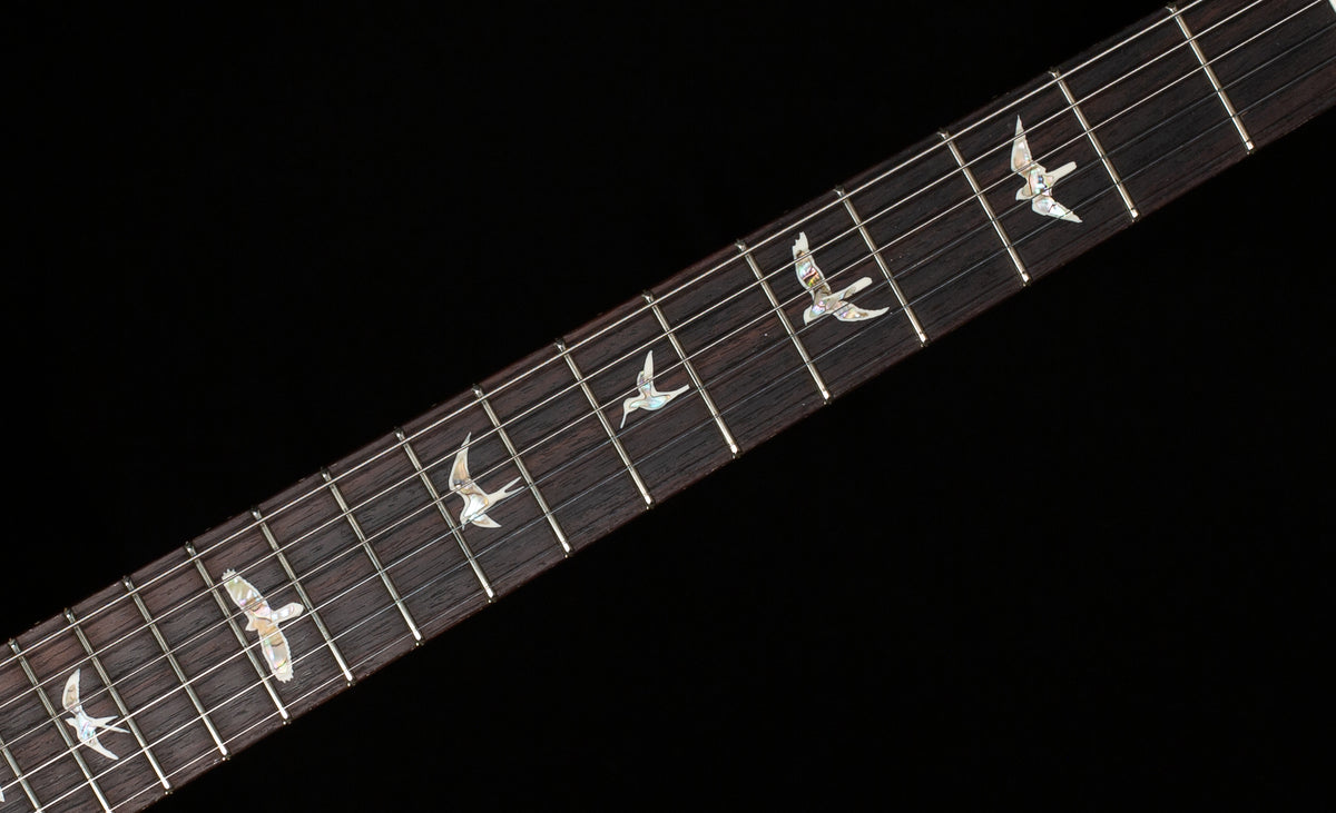 PRS Hollowbody II Piezo Black Rainbow Holoflake (671)