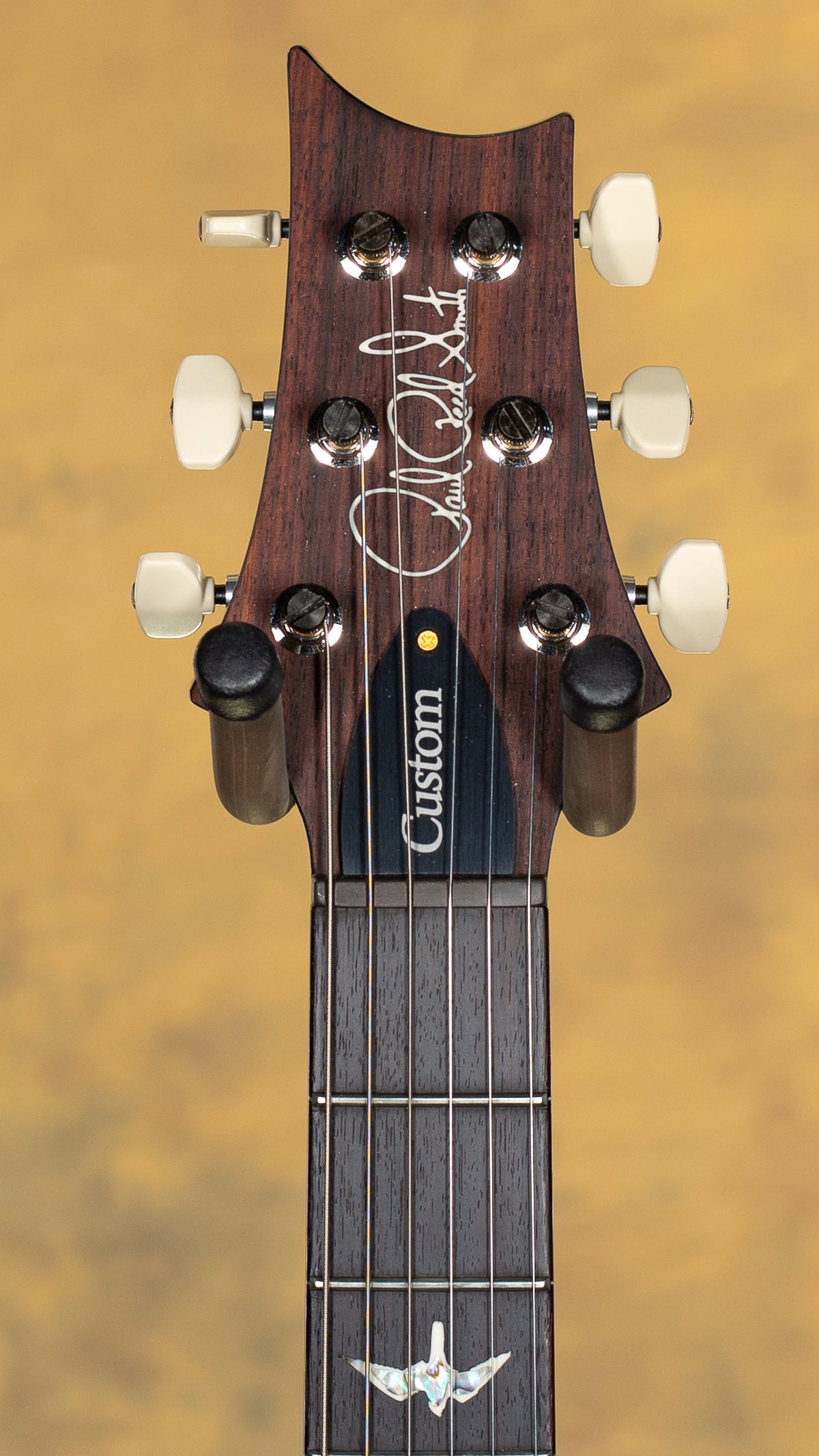 2025 PRS Custom 24 Piezo 10 Top Cobalt Smoke Burst