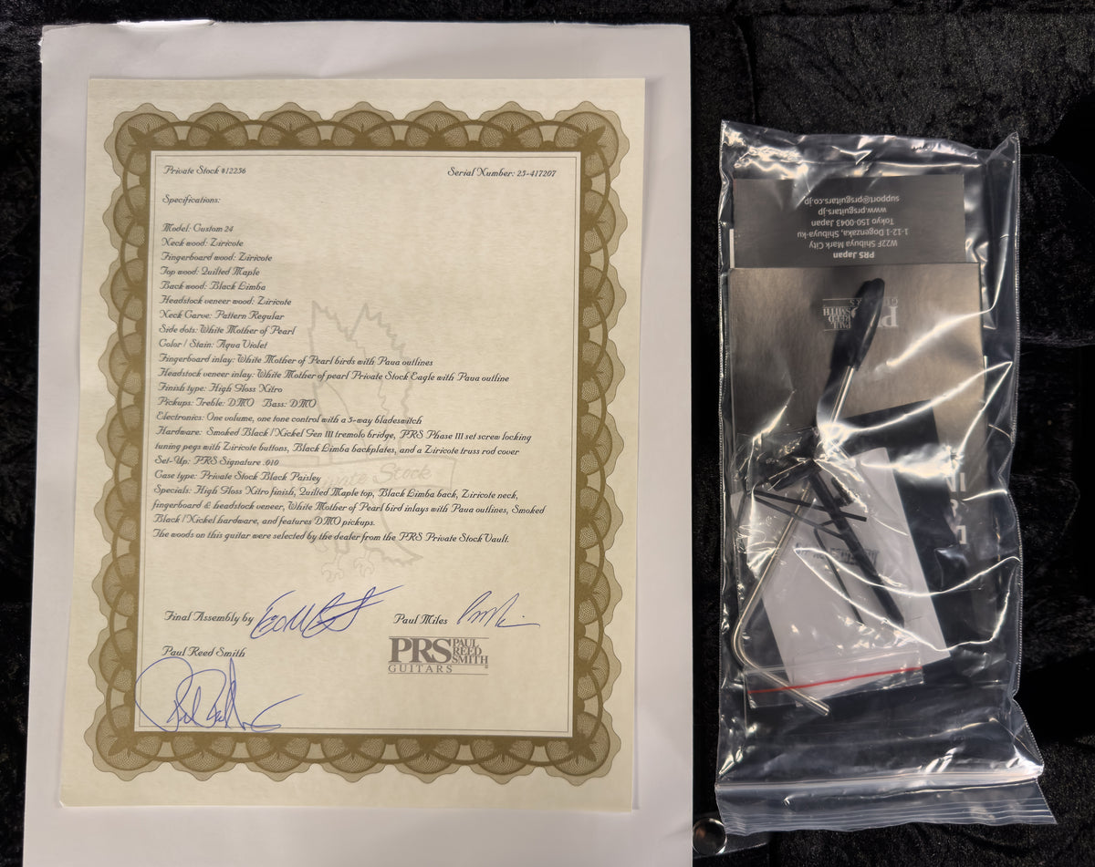 PRS Private Stock 12256 Custom 24 Aqua Violet (207)