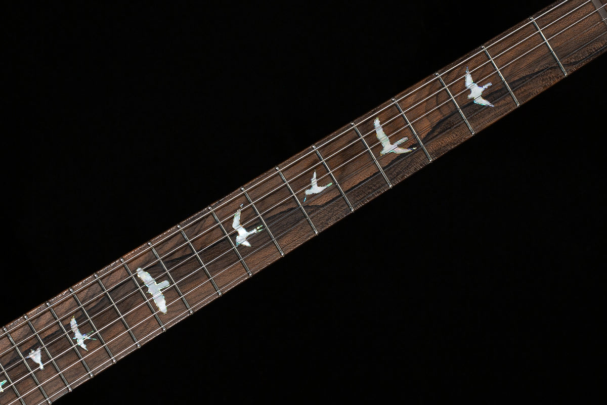 PRS Private Stock 12256 Custom 24 Aqua Violet (207)