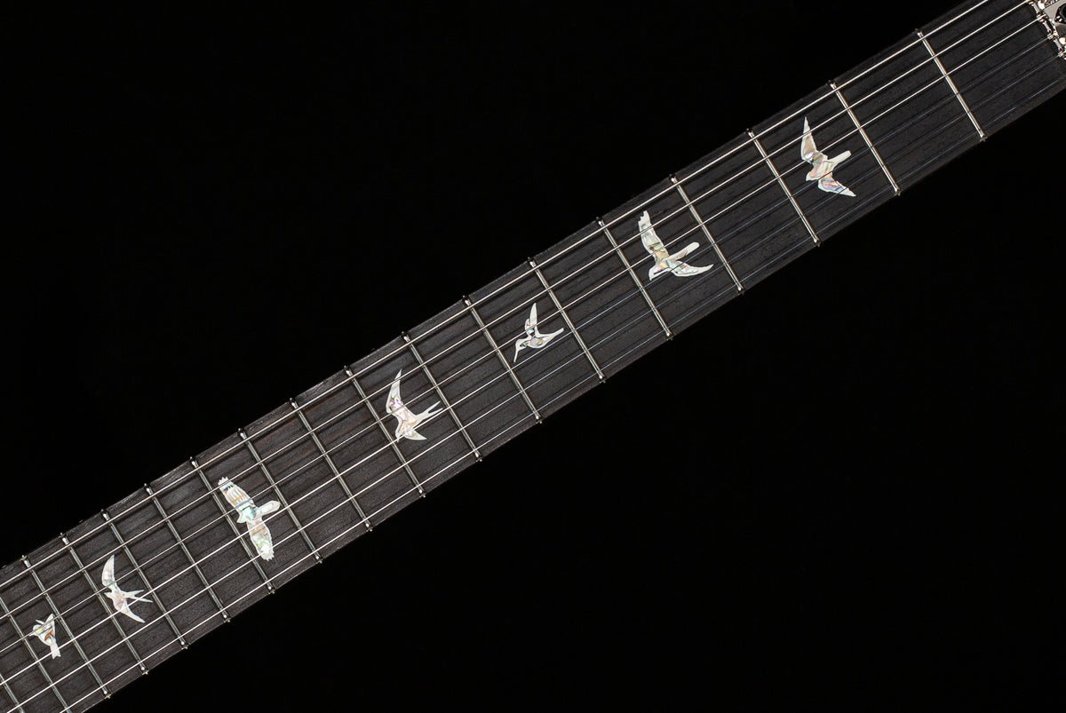 PRS Custom 24 Floyd River Blue Pearl (511)