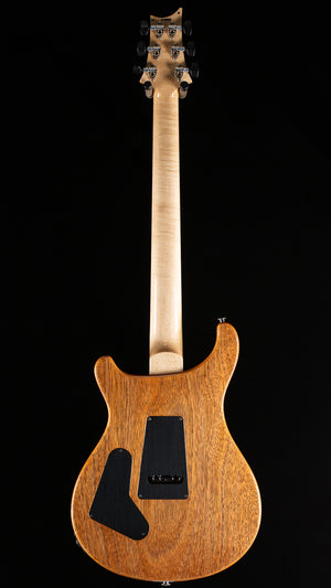 PRS Custom 24 Floyd Aurora Borealis 10 Top (518)