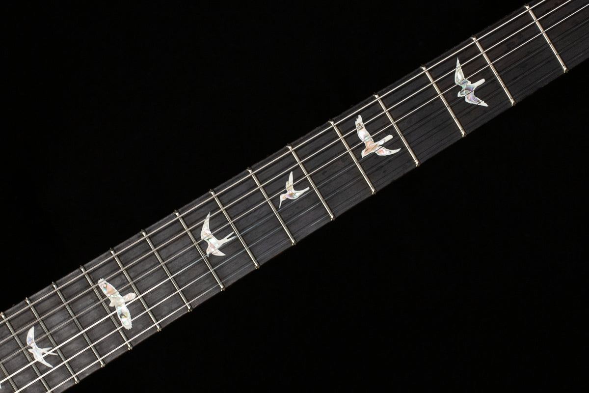 PRS Custom 24 Floyd Aurora Borealis 10 Top (518)