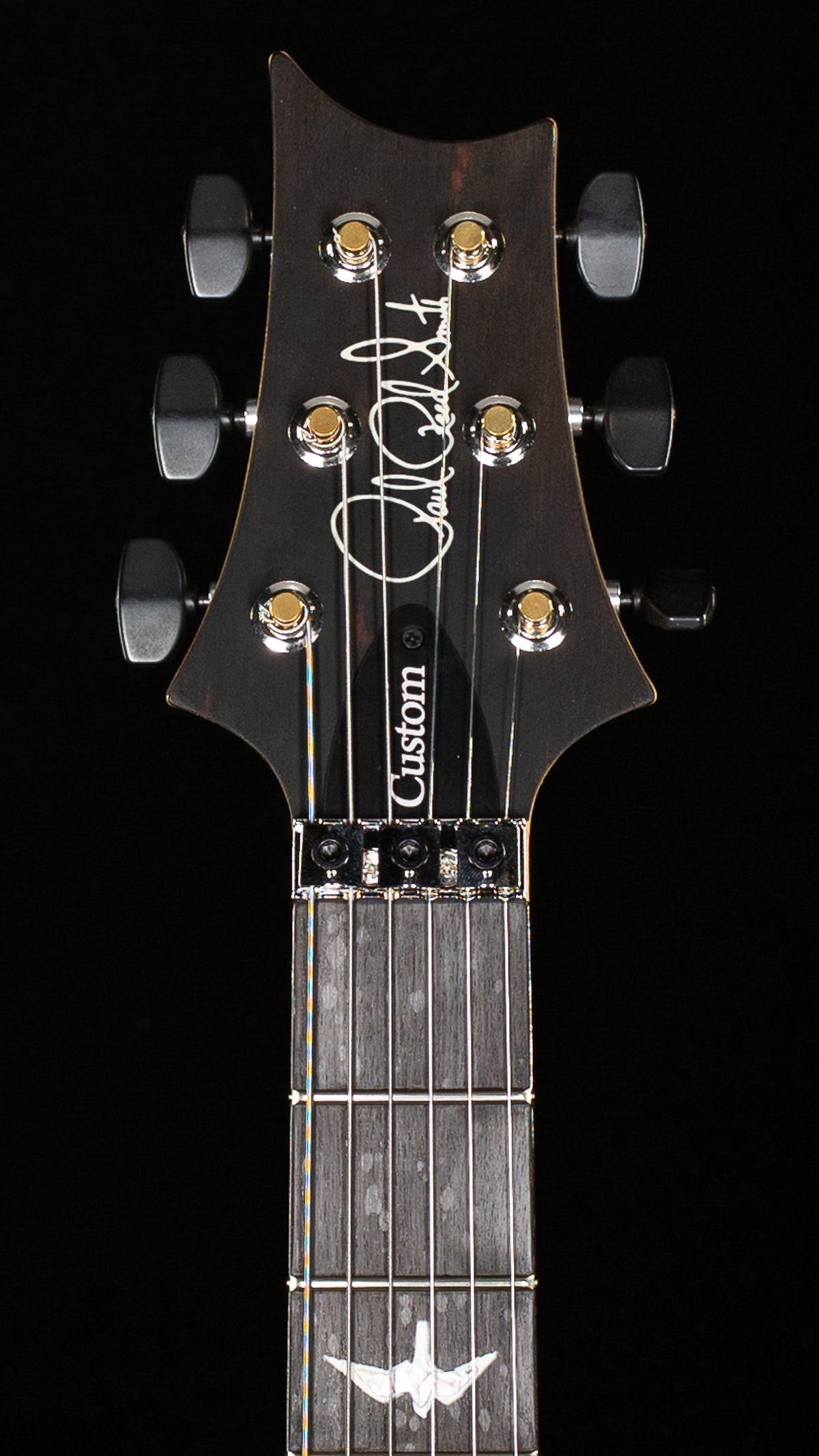 PRS Custom 24 Floyd Aurora Borealis 10 Top (518)