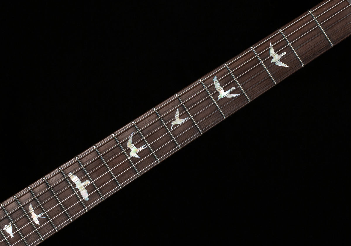 PRS Private Stock 12261 DGT Dirty Blonde Glow Brazilian Rosewood neck (665)